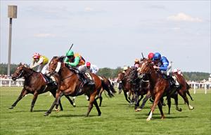 Star Witness storms to second at Royal Ascot